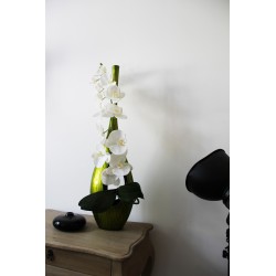 ST TROPEZ GM Lacquered wooden vase green - Orchid white 95cm