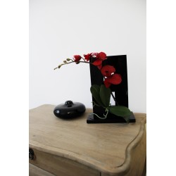 Compo Cristal MM Black - Orchid red 40cm