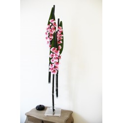 Flat XL - Oiseau de paradis. bambous - Orchidée rose