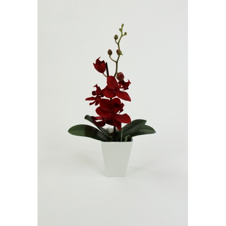 Porcelain Conical - Orchidée Rouge