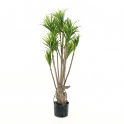 Arbre Dracaena 91cm - 318 feuilles