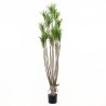 Arbre Dracaena 152cm - 486 feuilles