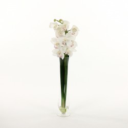 Cymbidium Orchid in glass - White 96cm