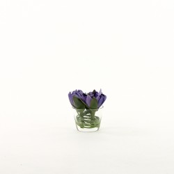 Mini Water Lily in glass - Blue lavender 14cm
