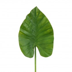 Feuille d'Alocasia 84cm - Vert