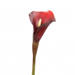 Calla Lily 56cm