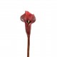 Arum 75cm - Rouge