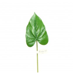 Feuille d'Anthurium 36cm - Vert