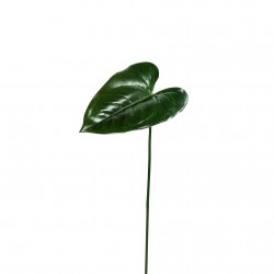 Feuille d'Anthurium 46cm - Vert