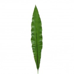 Bird nest leaf 100cm