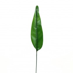 Feuille d'Oiseau du Paradis 127cm - Vert