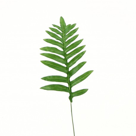 Feuille de Fougère 37cm- Vert