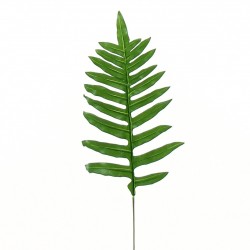 Fern pick 49cm