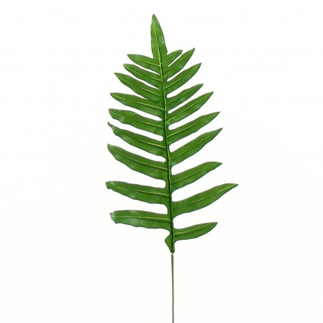 Feuille de Fougère 49cm - Vert