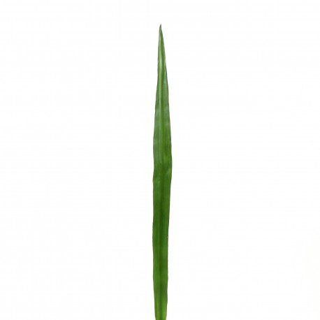 Feuille de Lin 117cm - Vert