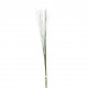 Herbes en fagot 58cm - Vert