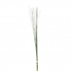 Grass bundle 58cm