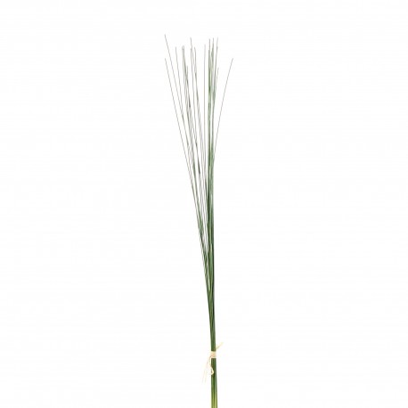 Herbes en fagot 58cm - Vert