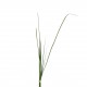 Herbes en fagot 85cm - Vert