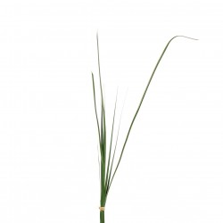 Grass bundle 85cm