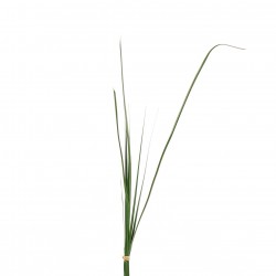 Herbes en fagot 85cm - Vert