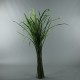 Herbes en fagot 112cm - Vert