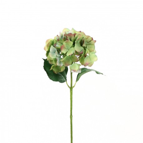 Hortensia 51cm - Vert Pourpre