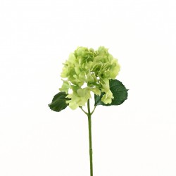 Hortensia 51cm - Vert