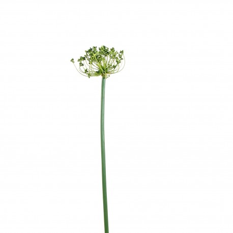 Tige ensemencée 96,5cm - Vert clair