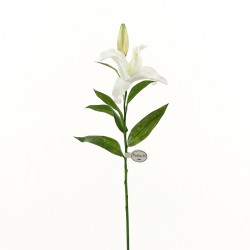 Lys Casablanca 71cm - Blanc