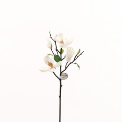 Magnolia branche avec feuilles 51cm - Champagne