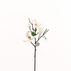 Tree Magnolia branch 51cm