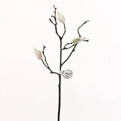 Magnolia branche de boutons 53cm - Champagne