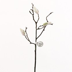 Tree Magnolia branch 53cm