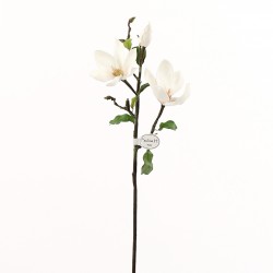 Magnolia branche avec feuilles 71cm - Champagne