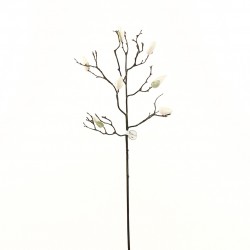 Branch of Magnolia Buds 86cm