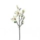 Magnolia branche avec feuilles 109cm - Champagne