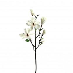 Magnolia branche avec feuilles 109cm - Champagne