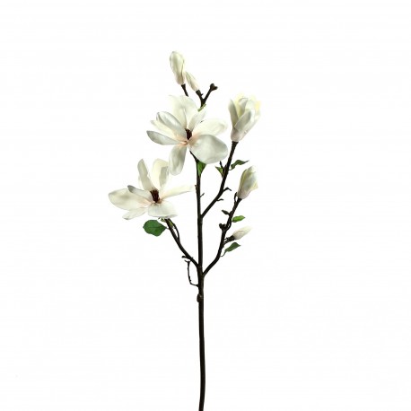 Magnolia branche avec feuilles 109cm - Champagne