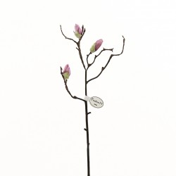 Branch of Magnolia Buds 53cm