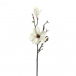 Magnolia branche avec feuilles 90cm - Champagne