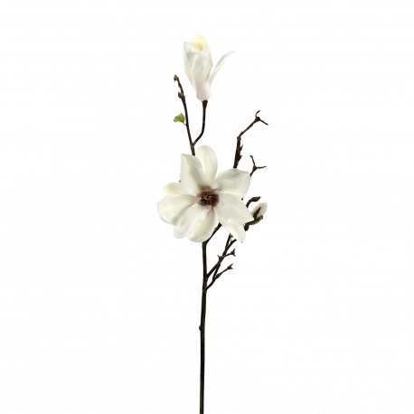 Magnolia branche avec feuilles 90cm - Champagne