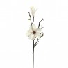 Magnolia branche avec feuilles 90cm - Champagne