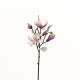 Magnolia branche avec feuilles 51cm - Fushia