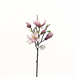 Tree Magnolia branch 51cm