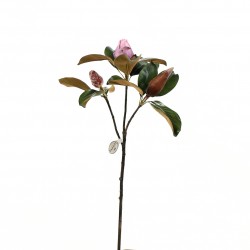 Magnolia Fashion en bouton 79cm - Fushia