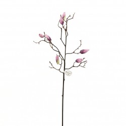 Branch of Magnolia Buds 86cm