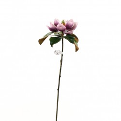 Magnolia Fashion 85cm - Fushia