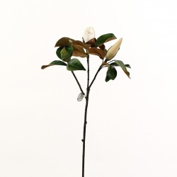 Branch of Magnolia Buds 79cm