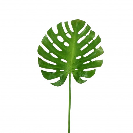 Feuille Monstera 124,5cm - Vert clair